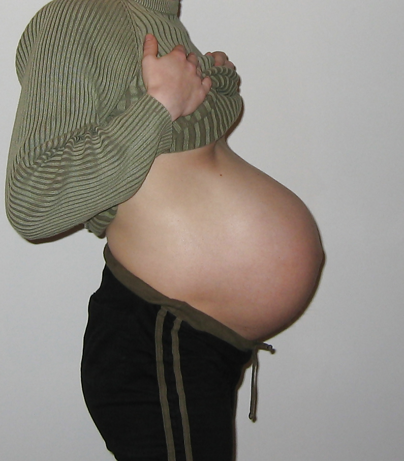 Ultimate Pregnant 4 #8874037