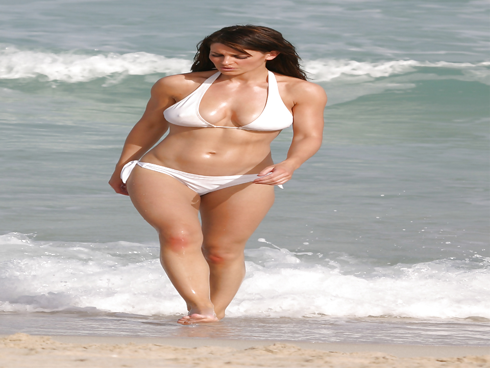 SWEET ARABIAN FRIENDS #4488214