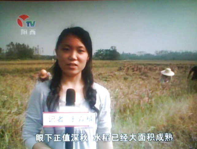 Chinese news reporter exposed #17106544