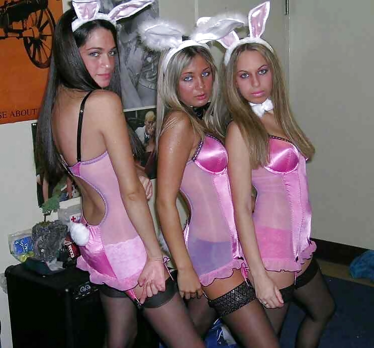 Stupide babes troie in costumi conigli da darkko
 #22012051