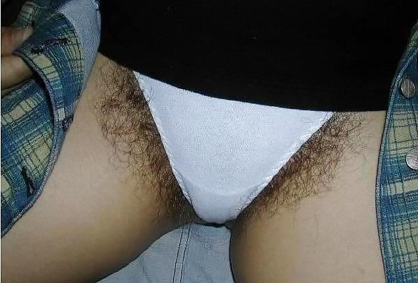 Mature hairy pussy #2301370