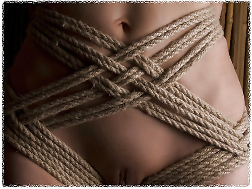 Un estudio
 #15301434