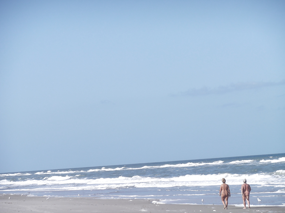 Mit Einigen Neuen Freunden An Den Strand Zurück #14936029