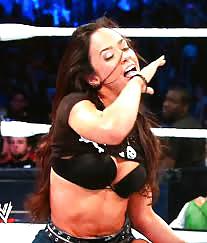 AJ Lee  #20551472