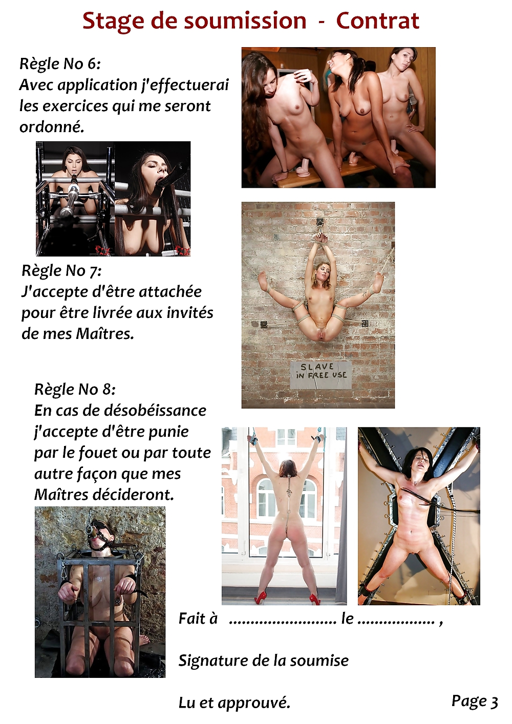 Institut Bdsm Contrat De Soumission #22548413