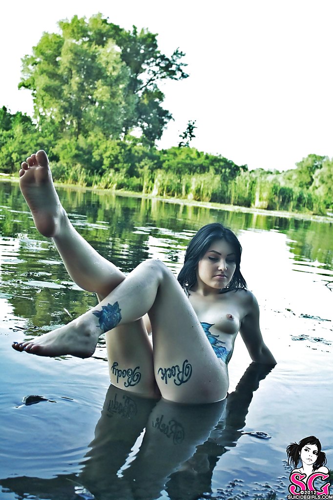 Colección 6
 #13367220