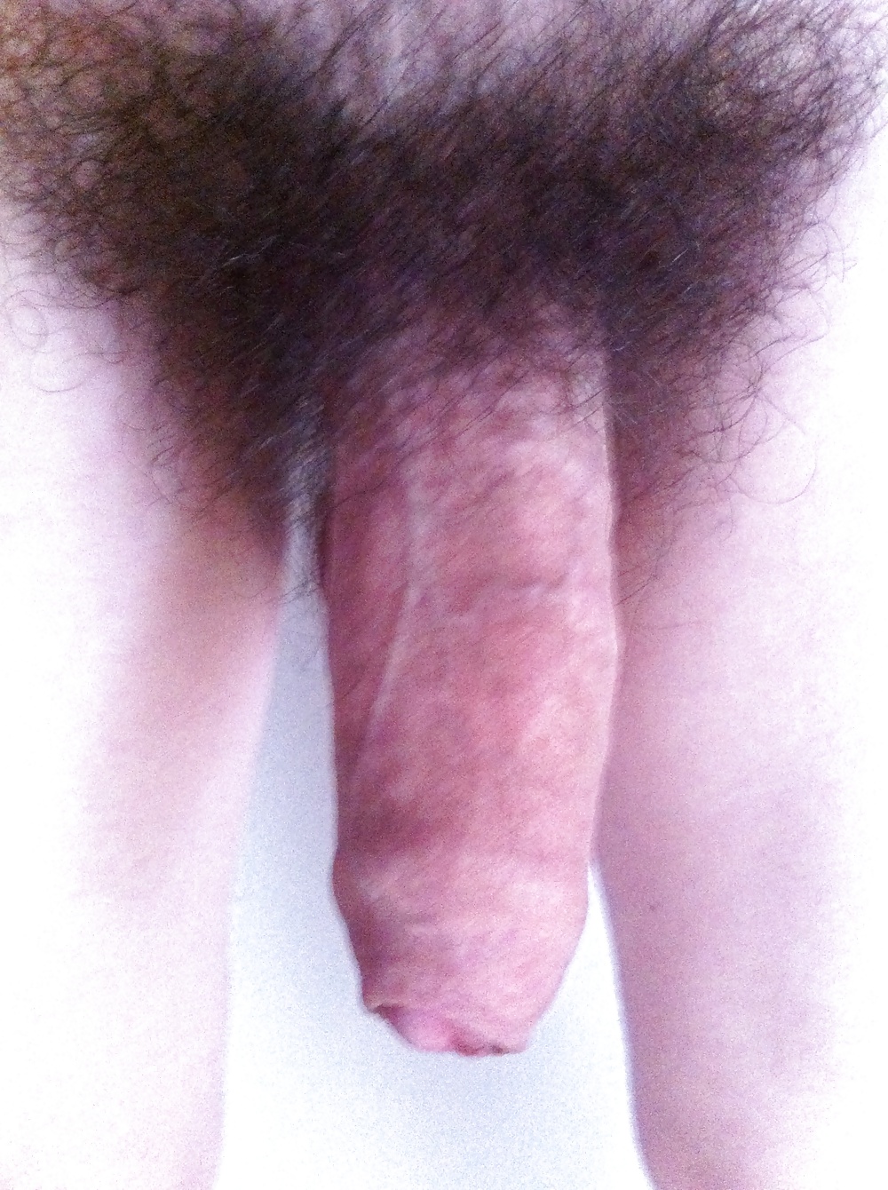 My cock before sex with a lady