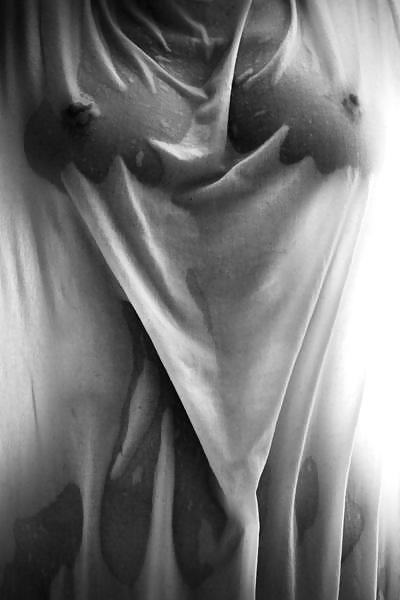 カーテン
 #8191464