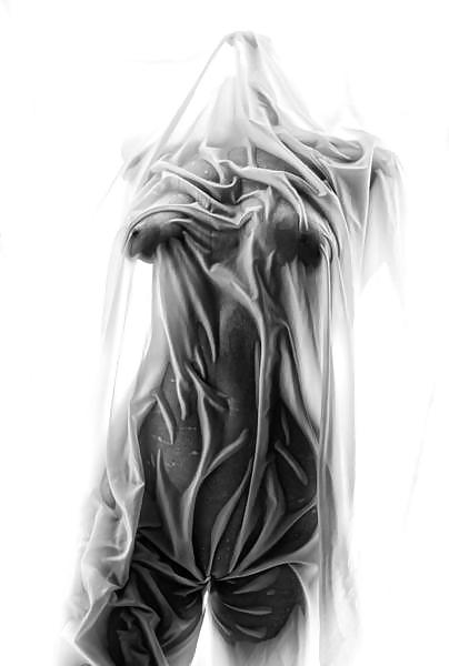 カーテン
 #8191467