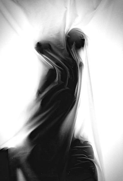 カーテン
 #8191472