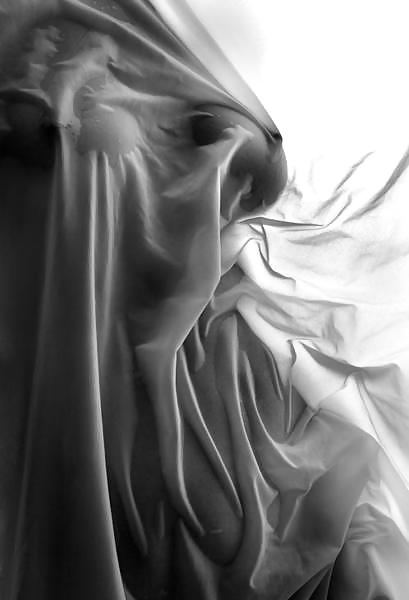 カーテン
 #8191483