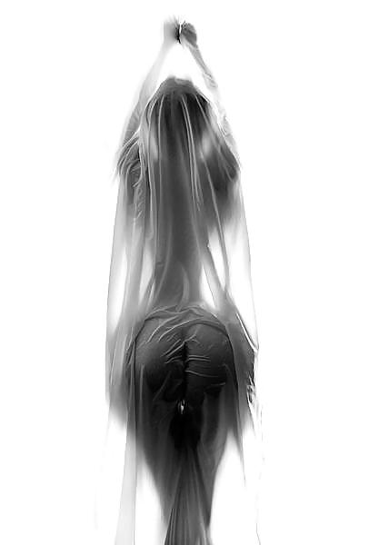 カーテン
 #8191486