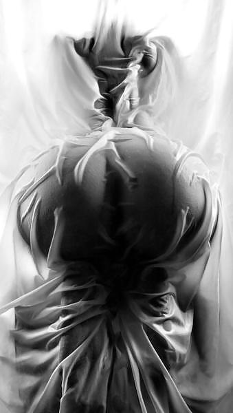 カーテン
 #8191491