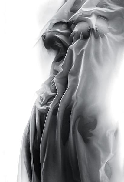 カーテン
 #8191497