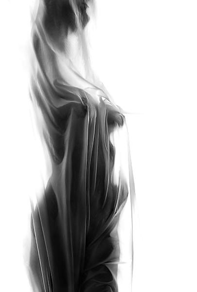 カーテン
 #8191503