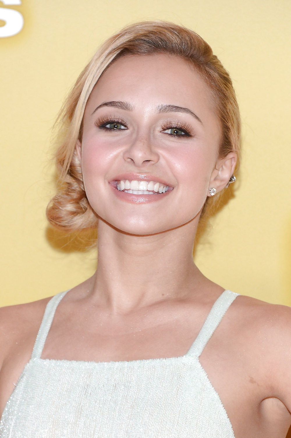 Hayden Panettiere mega collection 5 #18066994