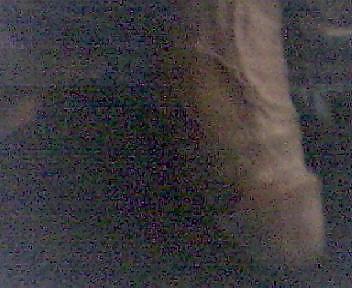 Simplemente yo
 #7214844