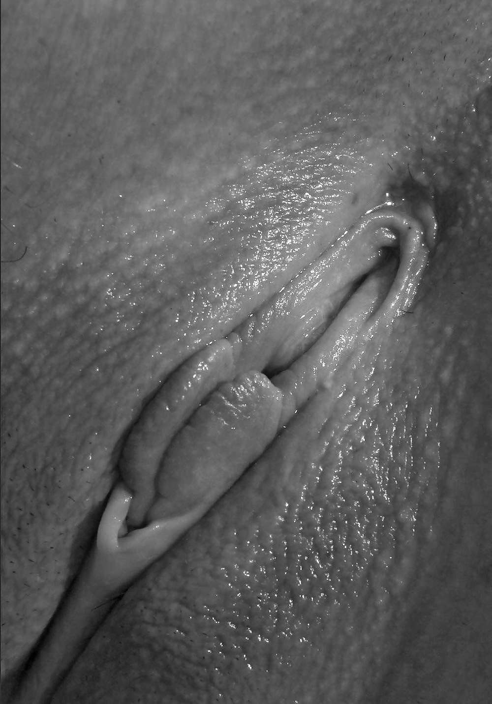 Sexy Bilder #10317861