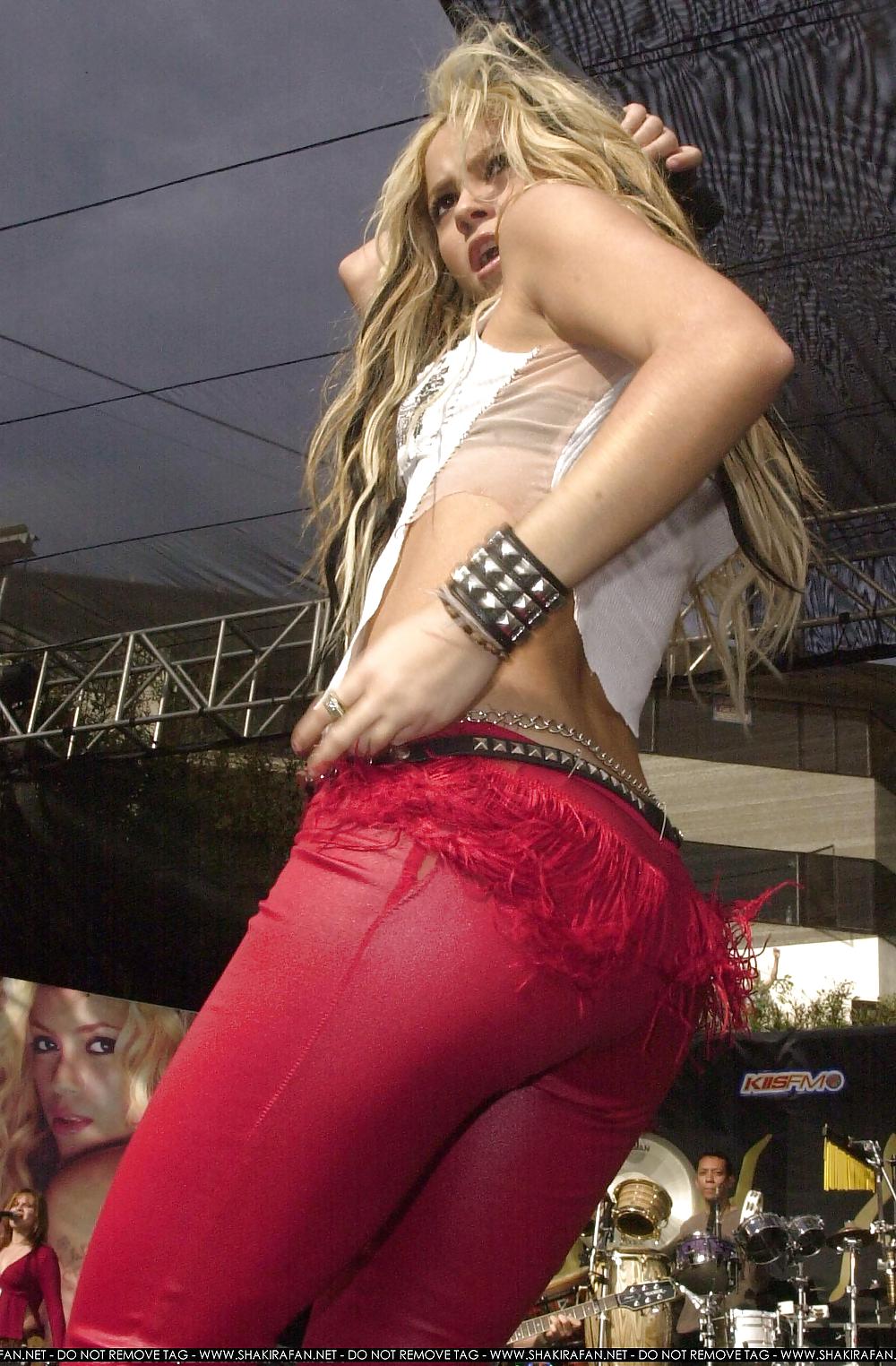 Shakira culo caldo
 #8713249