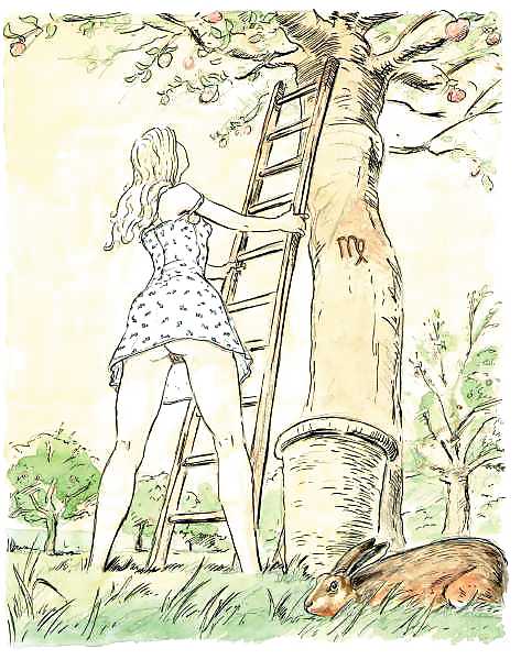 Signos del zodiaco
 #13661801