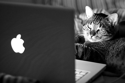 Addicted to the Net... #7489096