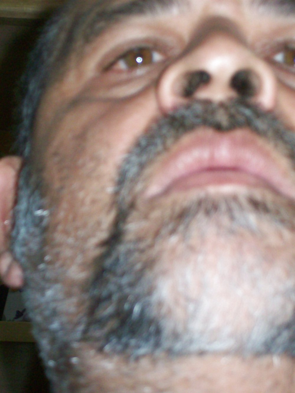 MY PICTURES #8886232