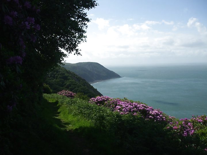 Devon survival photos  #7220484