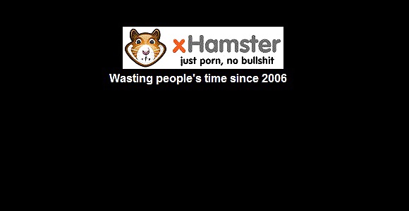 Pighamster #13955322