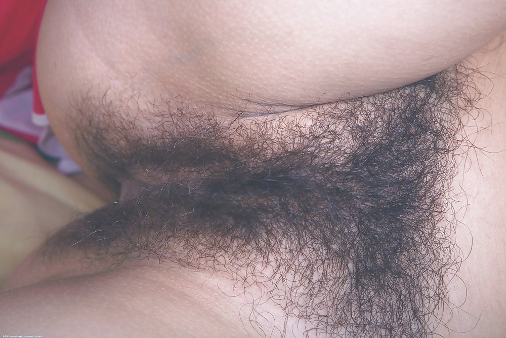 Mix hairy women 1 #11150528