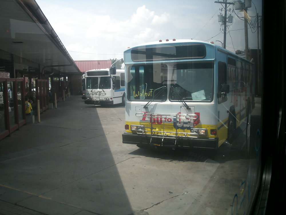 Bus #17166720