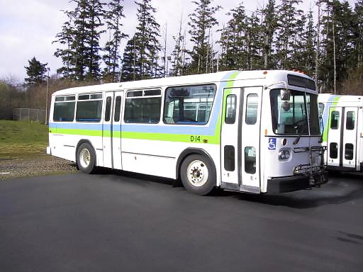 Bus #17167116