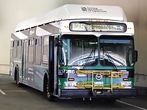 Bus #17167185