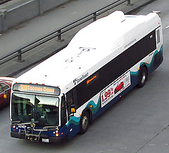 Bus #17167207