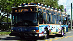 Bus #17167233