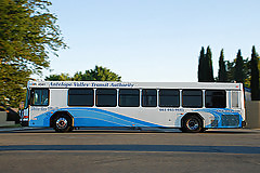 Bus #17167243