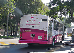 Bus #17167249