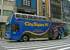 Bus #17167256