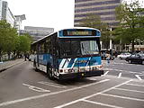 Bus #17167299