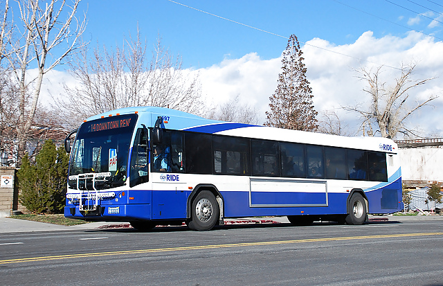 Bus #17167305