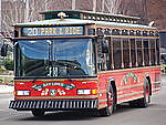 Bus #17167359