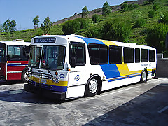 Bus #17167372