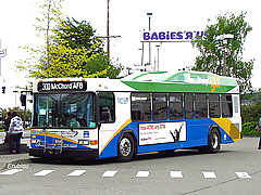 Bus #17167458