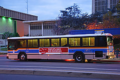 Bus #17167473