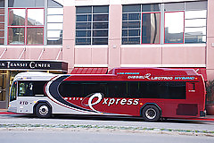 Bus #17167486