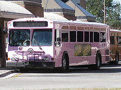 Bus #17167495