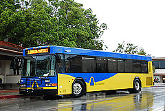 Bus #17167500