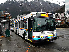 Autobus #17167510