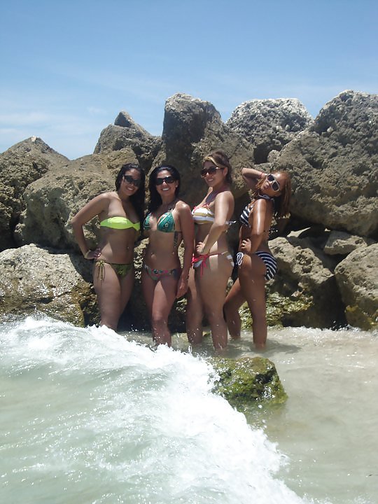 Favi miami 2
 #8929089