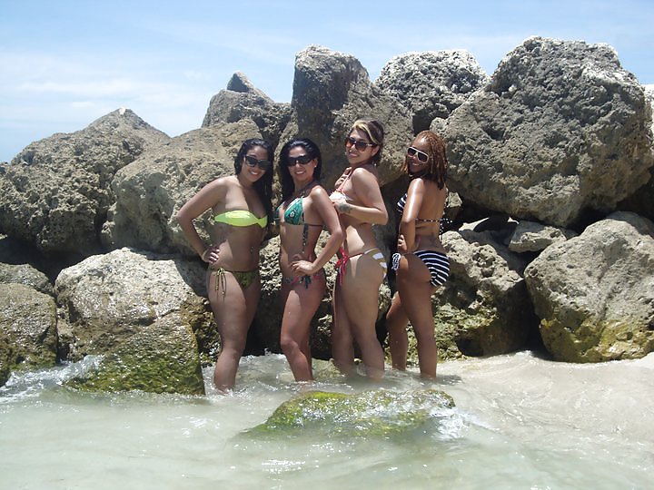 Favi Miami 2 #8929101