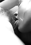 Arte erotica di baciare la figa
 #18263271